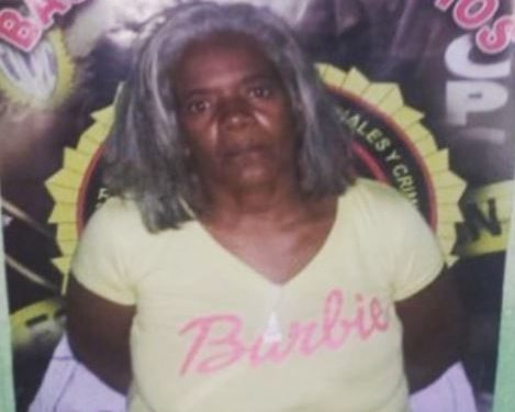 La empleada doméstica planificó el asesinato