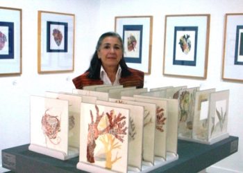 Una exposición que muestra el universo del grabado y de la serigrafía