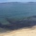 Cierran playas de Lechería por derrame de hidrocarburos 11 El alcalde espera que PDVSA solvente el problema