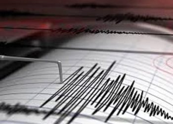 Reportan sismo de magnitud 4.1 en Guárico