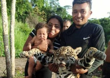 8130570a 2096 44c0 bfe7 64ed8d14a58b e1650925121894