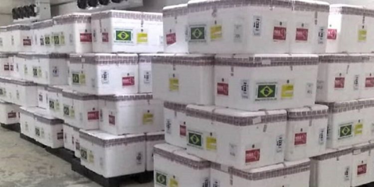 Venezuela recibe 1,8 millones de vacunas contra la fiebre amarilla 1 c1fe5d5682e14ad78282dd40a894d2de