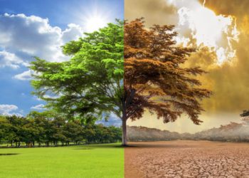 Calentamiento global aumentará más este siglo, dicen los expertos