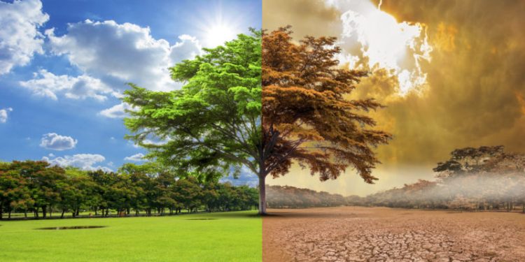 Calentamiento global aumentará más este siglo, dicen los expertos