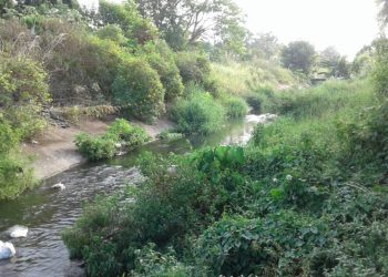 Más de 1 año tienen las autoridades que nos ejecutan un plan de limpieza y saneamiento del caño.