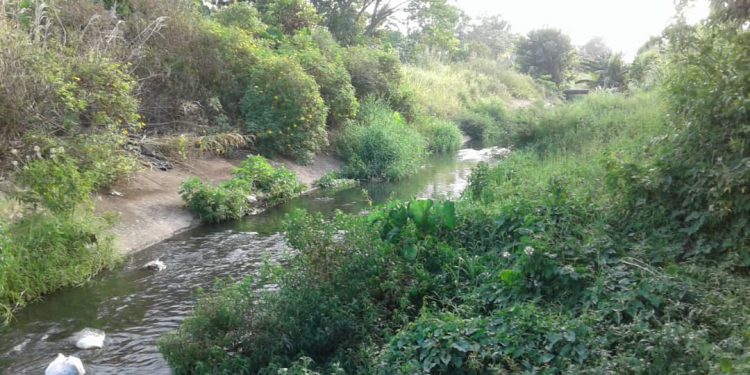 Maturín: Vecinos de La Muralla y La Murallita claman por limpieza de caño 1 Más de 1 año tienen las autoridades que nos ejecutan un plan de limpieza y saneamiento del caño.