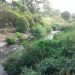 Maturín: Vecinos de La Muralla y La Murallita claman por limpieza de caño 12 Más de 1 año tienen las autoridades que nos ejecutan un plan de limpieza y saneamiento del caño.
