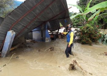 ed24af603b1a4c87aa90c2df6b5256c9