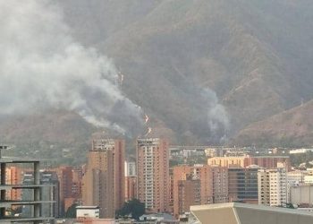 reportan incendio forestal en el avila 97507