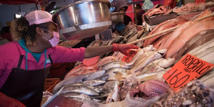 Precios del pescado en Semana Santa no escapan del repunte inflacionario 1 venta de pescado
