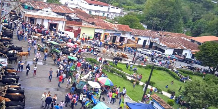 Mendoza del Valle de Momboy y La Puerta homenajearon a su patrono San Isidro Labrador 1 Mendoza del Valle de Momboy y La Puerta homenajearon a su patrono San Isidro Labrador