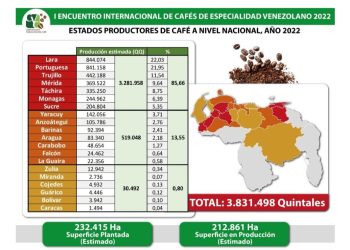 Venezuela produce 18 quintales de café por hectárea