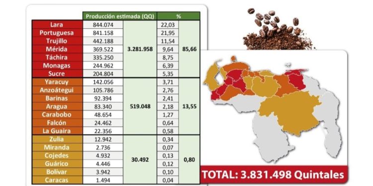 Venezuela produce 18 quintales de café por hectárea