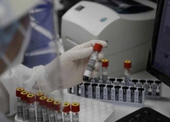 Nuevo proyecto 2022 05 27T113358.408 1