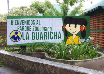 25 guacamayas y seis loros se incorporaron a la fauna del emblemático parque.
