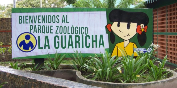 Monaguenses disfrutan del parque zoológico La Guaricha 1 25 guacamayas y seis loros se incorporaron a la fauna del emblemático parque.