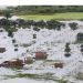 Lluvias torrenciales en Brasil dejan 100 fallecidos en Recife 12 RECIFE BRASIL