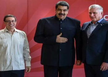 "Compartirán estrategias de desarrollo comunes" y "analizarán la situación política regional" en la cumbre.