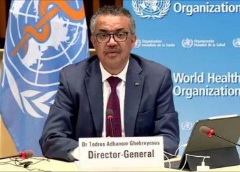 e16d77785881458687cbd96becdb25ae