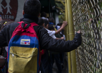 Hay que investigar y analizar los casos registrados en las instituciones, asegura CECODAP