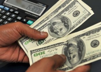 El precio de las divisas está publicado en el portal del BCV