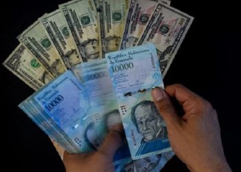 Los precios de las divisas son publicadas por el BCV