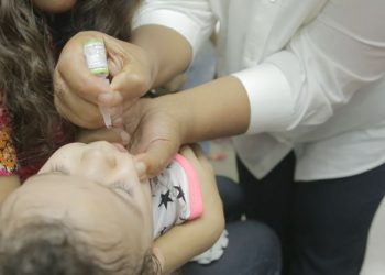 La jornada de vacunación será totalmente gratis