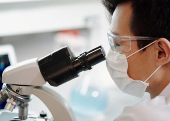 Un primer caso de viruela del mono se registró el jueves en Francia, en un hombre de 29 años que no había viajado a un país donde circula el virus.