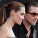 Brad Pitt demanda a su ex esposa Angelina Jolie 10 Brad Pitt demanda a su ex esposa Angelina Jolie