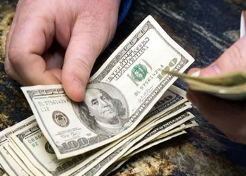 Los precios de las diferentes divisas del país son posteados a través de la página web del BCV