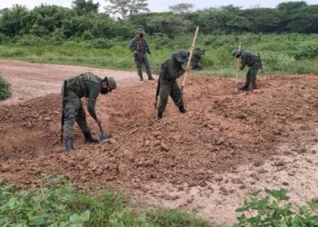 Efectivos militares mantienen labores de patrullaje y escudriñamiento en las fronteras.
