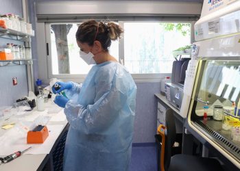 Expertos de salud señalan viruela del mono no es una emergencia sanitaria internacional