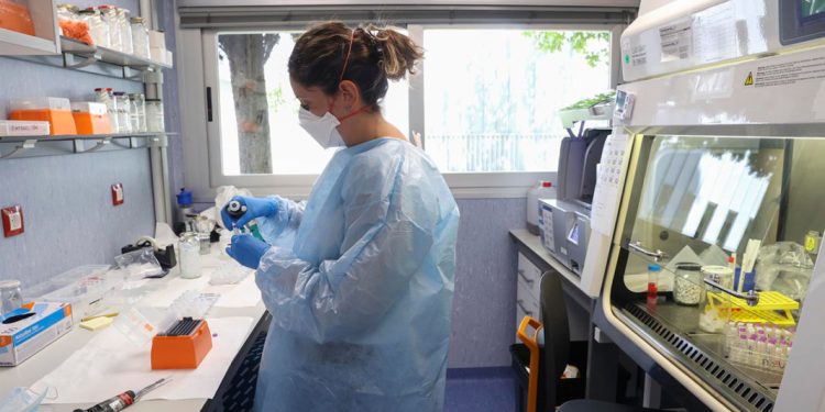 Expertos de salud señalan viruela del mono no es una emergencia sanitaria internacional