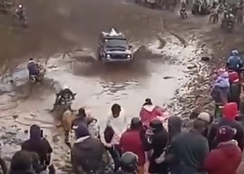 A los ciudadanos se les sancionará por los delitos de ocupación ilícita en Áreas Naturales Protegidas y Contravención a Planes de Ordenación del Territorio.