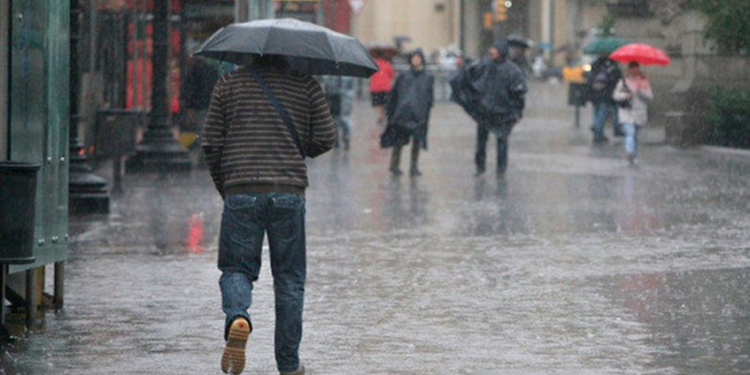 Prohíben vuelos y cierre de carreteras en varios estados por ciclón tropical 1 image 109