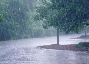 Las precipitaciones se registrarán en las zonas de Nororiente, Delta Amacuro, Esequibo, Bolívar Amazonas, Llanos Occidentales, los Llanos y Zulia.