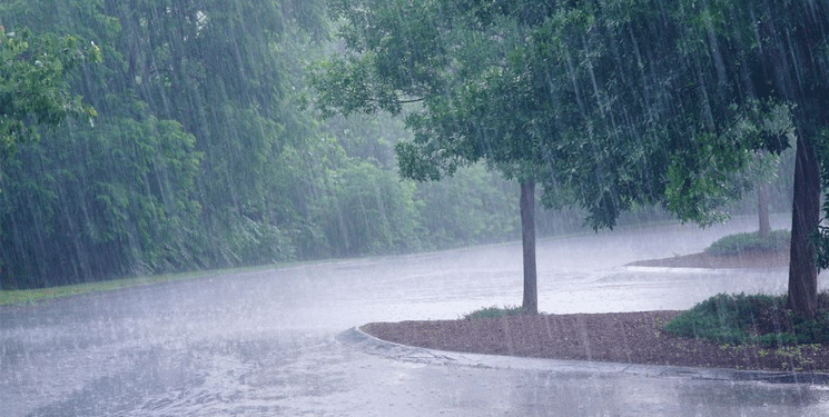Las precipitaciones se registrarán en las zonas de Nororiente, Delta Amacuro, Esequibo, Bolívar Amazonas, Llanos Occidentales, los Llanos y Zulia.