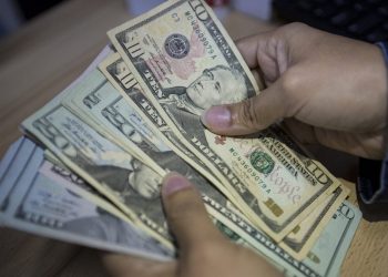 Los precios oficiales son publicados por el Banco Central de Venezuela (BCV)