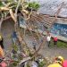 Trujillo continúa en alerta ante las intensas precipitaciones 9 trujillo se mantiene en alerta ante las intensas precipitaciones 103546 1