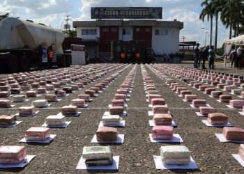 En el primer semestre de 2022 se han incautado 22 toneladas de drogas.