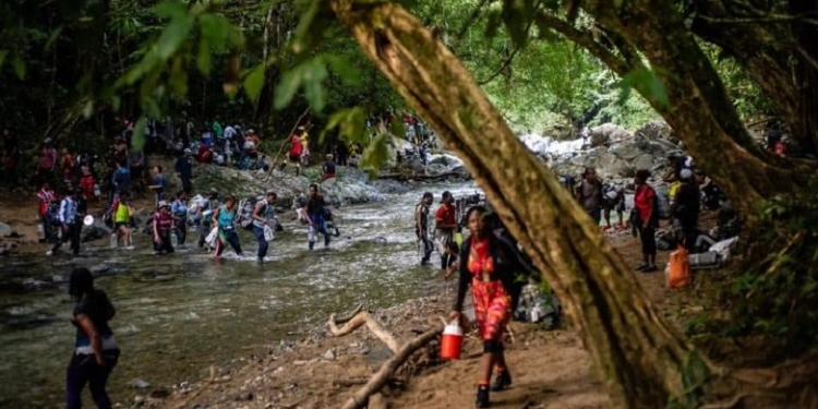 Más de 70 venezolanos están desaparecidos en la selva del Darién 1 Captura de pantalla de 2022 07 18 13 58 19
