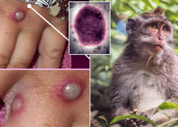 Captura de pantalla de 2022 07 25 11 08 34