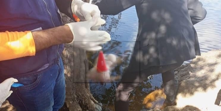 Localizan cadáver desnudo de una mujer a orillas del río Caroní 1 Localizan cadáver desnudo de una mujer a orillas del río Caroní