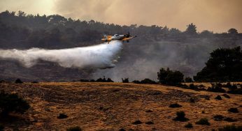 Incendio acabó con 3 mil 400 hectáreas del parque Nacional Dadiá en Gracia