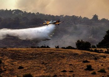 Incendio acabó con 3 mil 400 hectáreas del parque Nacional Dadiá en Gracia 3 Incendio acabó con 3 mil 400 hectáreas del parque Nacional Dadiá en Gracia