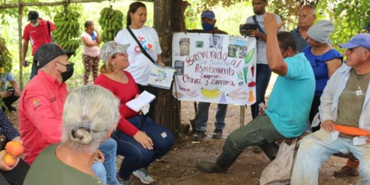 CLAP impulsa producción autosustentable en el país 1 CLAP impulsa producción autosustentable en el país