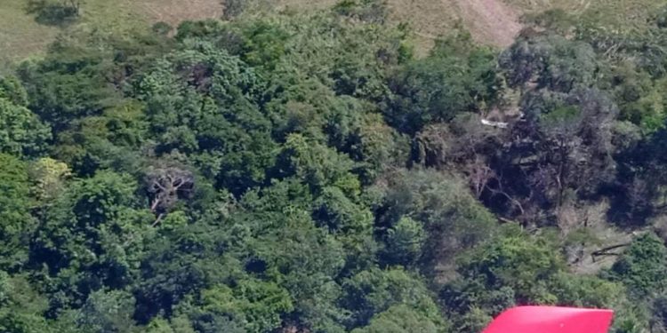 dc158f79 50d7 4cd9 918f 2dffc367d6cc