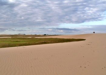 La llanura apureña se refleja en los médanos La Soledad