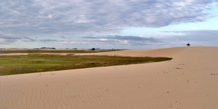La llanura apureña se refleja en los médanos La Soledad