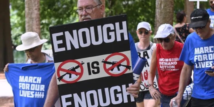 Aprobado el proyecto de ley sobre armas en Nueva York 1 Aprobado el proyecto de ley sobre armas en Nueva York